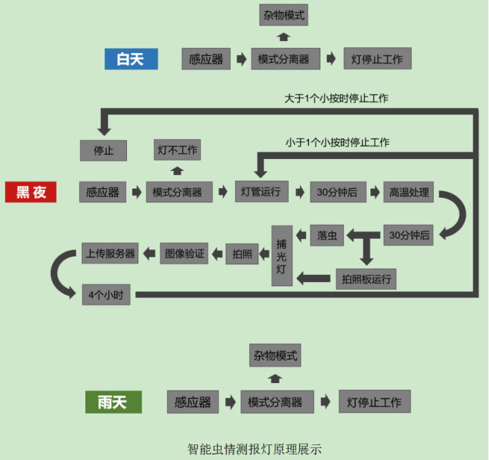 智能虫情测报灯