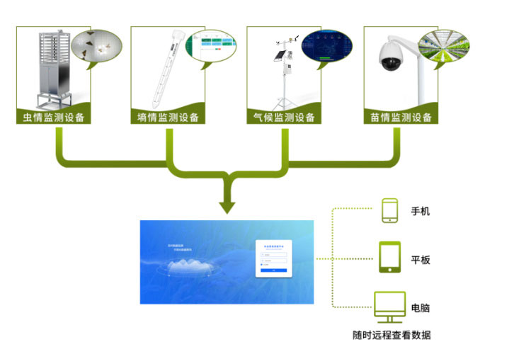 智能农业四情监测系统 智能农业四情监测系统