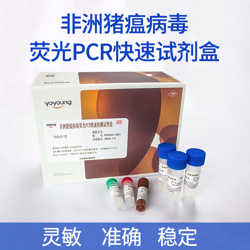 非洲猪瘟PCR试剂盒