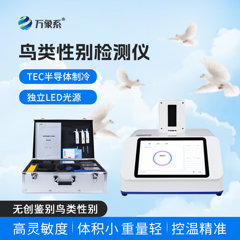 鸽子性别鉴别仪